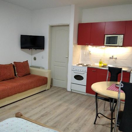 Apartman 4 - Studio Janja Sokobanja Zewnętrze zdjęcie