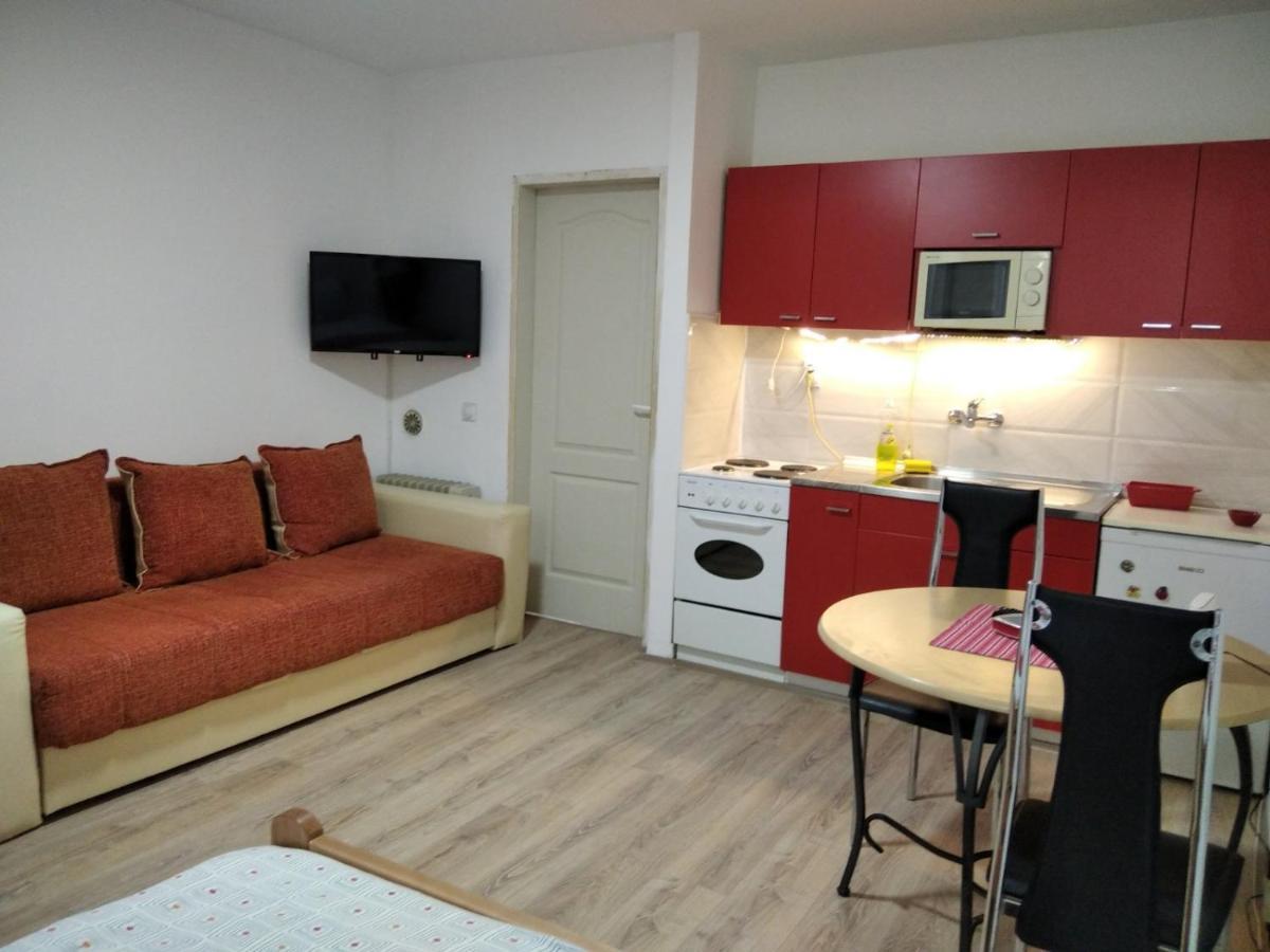 Apartman 4 - Studio Janja Sokobanja Zewnętrze zdjęcie
