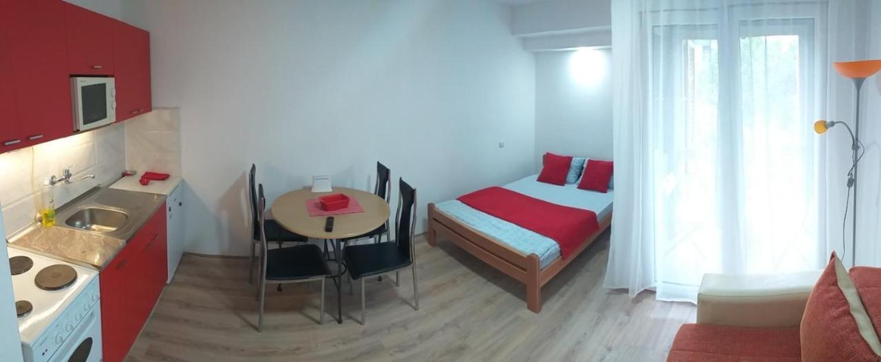 Apartman 4 - Studio Janja Sokobanja Zewnętrze zdjęcie