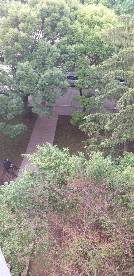 Apartman 4 - Studio Janja Sokobanja Zewnętrze zdjęcie