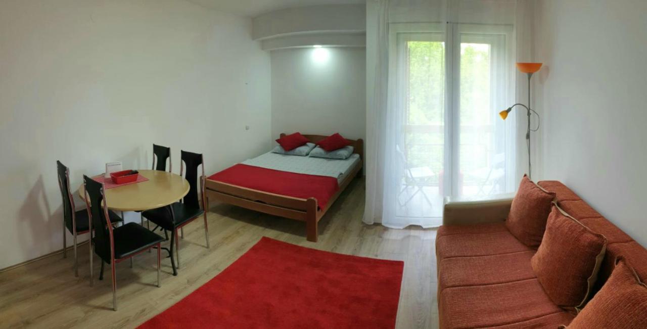 Apartman 4 - Studio Janja Sokobanja Zewnętrze zdjęcie