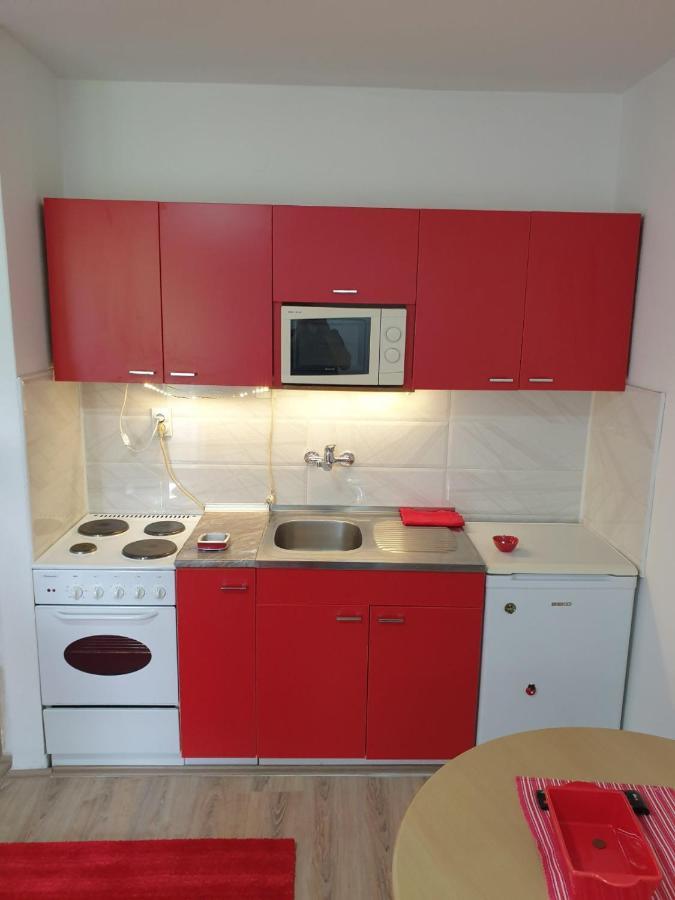 Apartman 4 - Studio Janja Sokobanja Zewnętrze zdjęcie