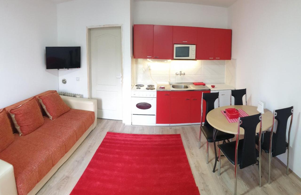 Apartman 4 - Studio Janja Sokobanja Zewnętrze zdjęcie